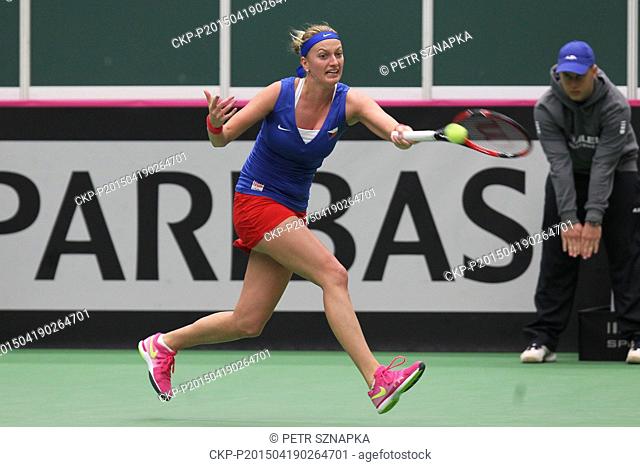 Czech tennis player Petra Kvitova during the semifinal Czech Republic vs. France Fed Cup match against Caroline Garcia in Ostrava, Czech Republic, April 19