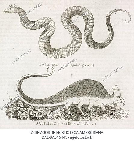 Basilisk, depicted in its two traditional forms, engraving from L'album, giornale letterario e di belle arti, August 17, 1850, Year 17