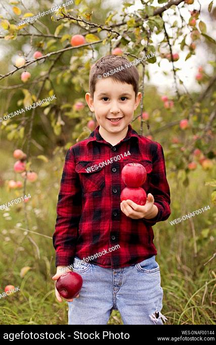 Smiling cute boy with apples standing at farm