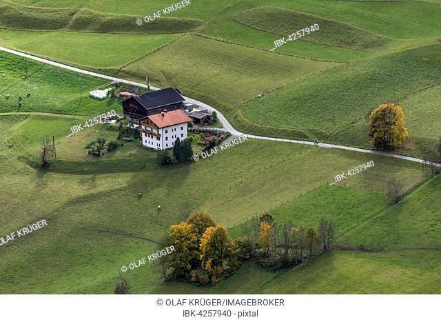 Farmyard, meadows, autumn coloured trees, Welzlach, Virgental, East Tyrol, Austria