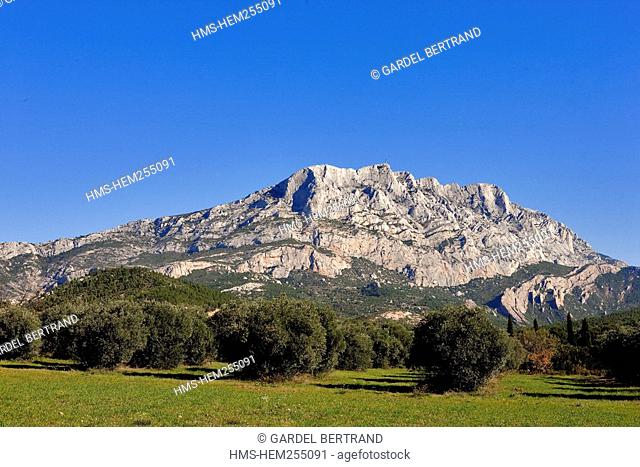 France, Bouches du Rhone, Pays d'Aix Aix Country, la montagne Sainte Victoire St Victory mountain