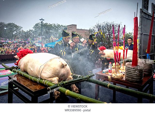 Swine sacrifice