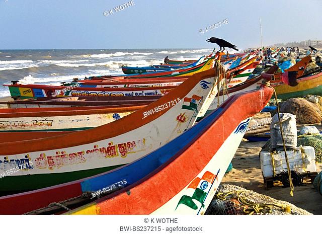 colourful fishing boats on sand beach, India, Tamil Nadu, Marina Beach, Chennai