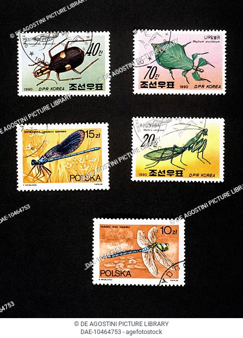 Postage stamps honouring insects: top and centre right, postage stamps depicting a Bombardier beetle, Spiny leaf insect and Praying mantis, 1990