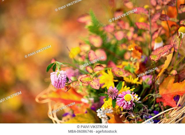 Autumn Bouquet Of Wildflowers