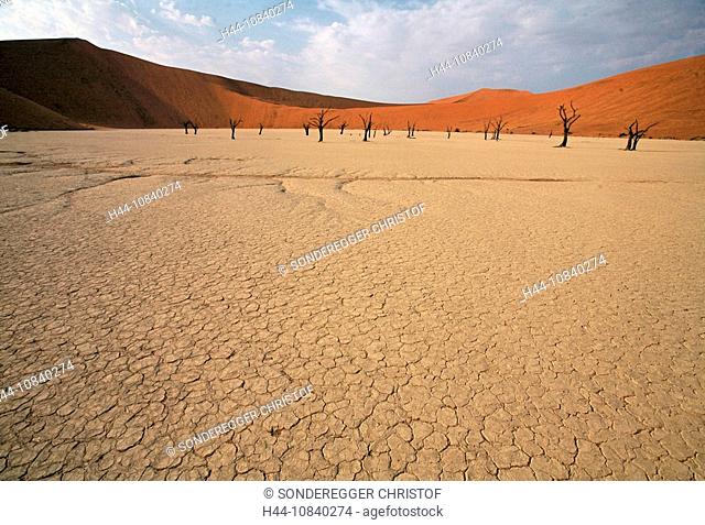 Namibia, Africa, Namib desert, Sossusvlei, Namib-Naukluft, national park, Summer 2007, Africa, sandy desert, sands, sa