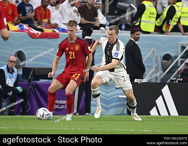 left to right Dani OLMO (ESP), Lukas KLOSTERMANN (GER), action, duels, Spain (ESP) - Germany (GER), group phase Group E, 2nd matchday, on November 27th, 2022