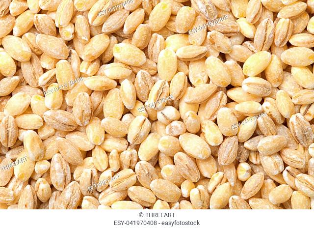 Pearl barley background. Top view