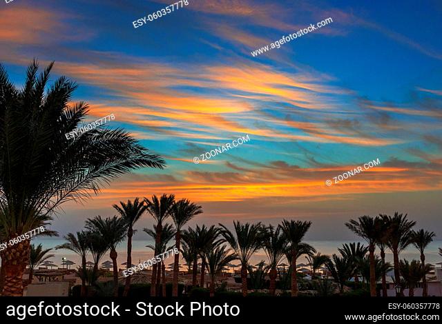 Beautiful landscape with palms and sea on resort before sunrise