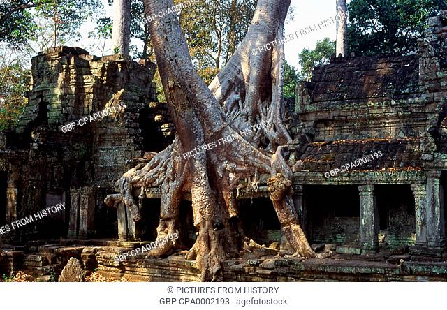 Cambodia: Tree roots envelop Preah Khan, Angkor