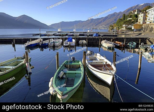 Old harbour, Ascona, Lake Maggiore, Ticino, Lake Maggiore, Switzerland, Europe