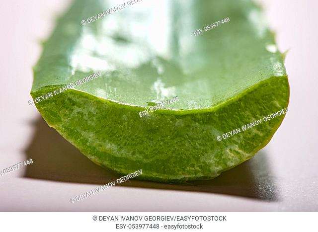 Aloe vera slices on pink background. Health and beauty concept. Closeup aloe pieces on backlight