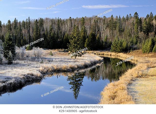 Junction Creek with frosted shoreline grasses Greater Sudbury Ontario