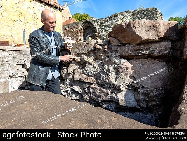 29 September 2022, Saxony-Anhalt, Memleben: Excavation leader Holger Grönwald examines a former church wall on the grounds of Memleben Monastery
