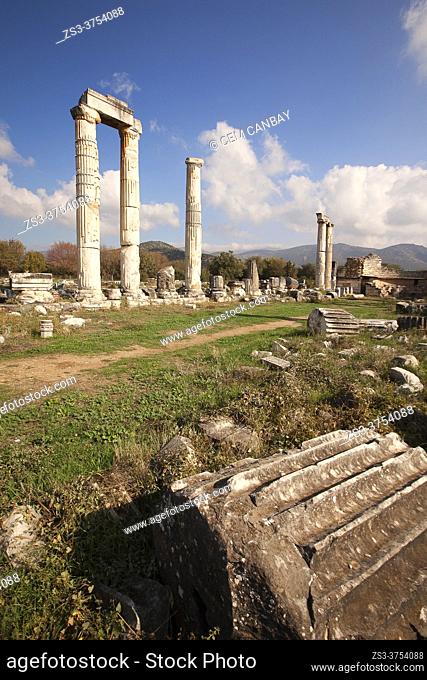 View to the columns in the Temple Of Aphrodite, Aphrodisias, Geyre, Aydin Province, Asia Minor, Turkey, Europe