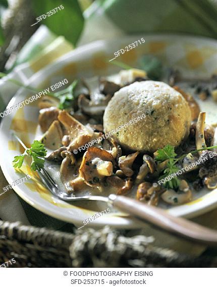 Fresh forest mushrooms with bread dumpling (2)