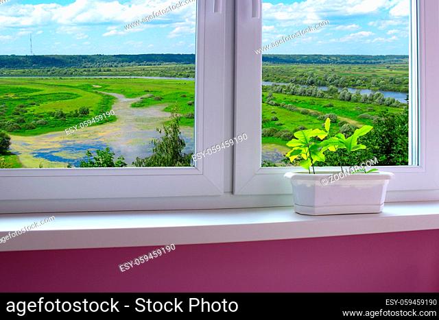 plants in the pot on the window-sill and view from the window to the landscape with river
