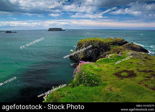 europe, northern ireland, county antrim, causeway coast, view of the cliffs of carrick-a-rede island and sheep island
