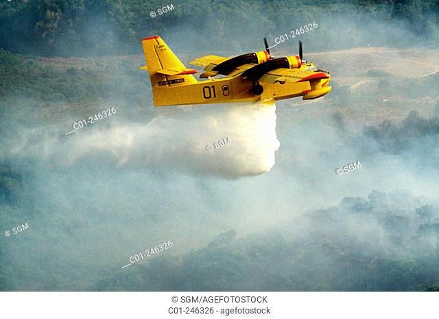 'Canadair' water bomber drenching a forest fire. Provence. France