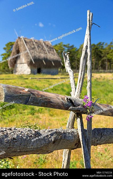 rustic pasture fence and sheep hut, Sweden, Farö island