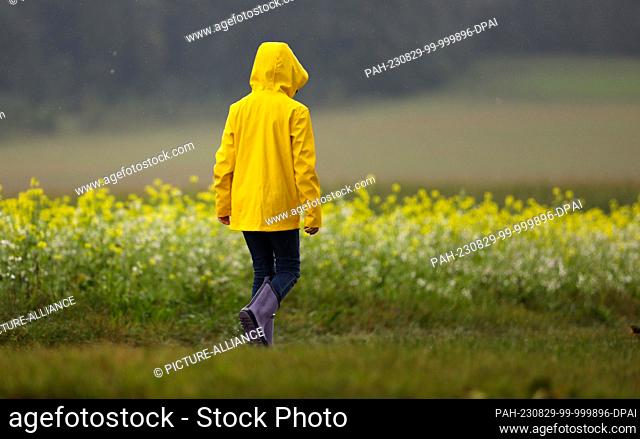 dpatop - 29 August 2023, Baden-Württemberg, Riedlingen: A girl in a yellow raincoat walks past a field of mustard in bloom. Photo: Thomas Warnack/dpa