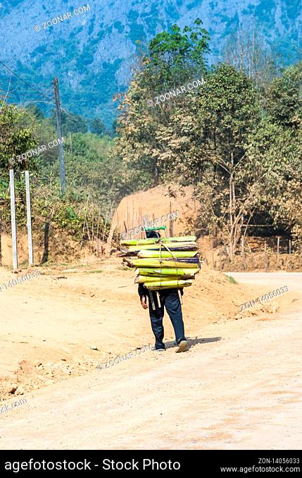 Man carrying pile of banana steam, Vang Vieng, Laos