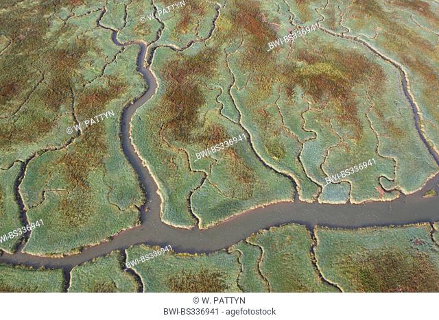 aerial view to river delta Verdronken land van Saeftinghe, Netherlands, Zeeuws-Vlaanderen, Verdronken land van Saeftinghe