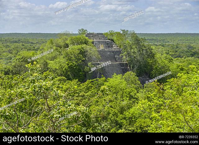 Pyramid Structure I, Calakmul, Campeche, Mexico, Central America