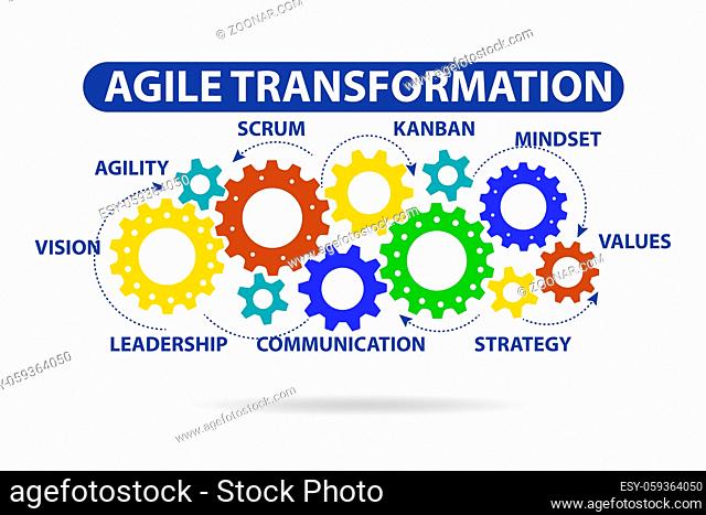 Concept of the agile transformaion and reorganisation