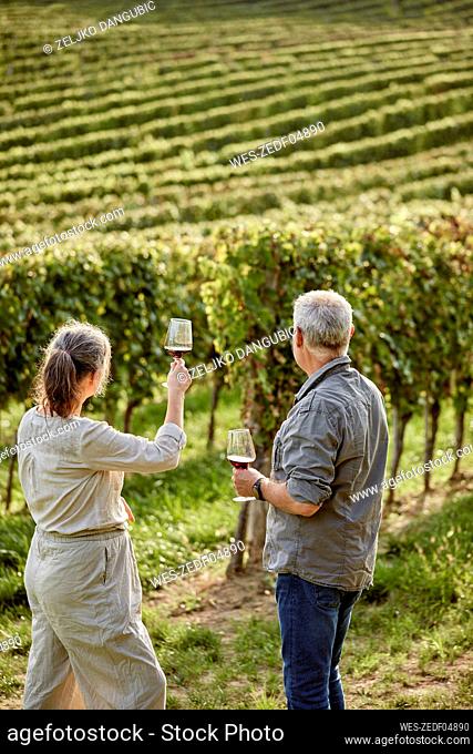 Mature couple holding wineglasses in front of vineyard