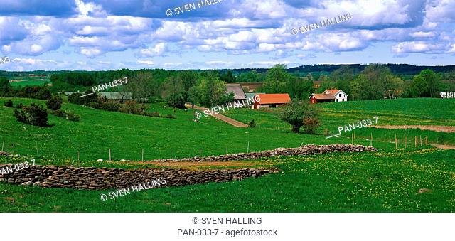 Farm with stone fence, Dala, Sweden