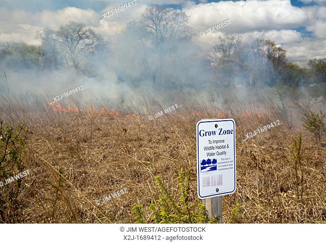 Detroit, Michigan - A controlled burn in River Rouge Park aims to eliminate invasive species  After the fire, school children will help seed the area with...