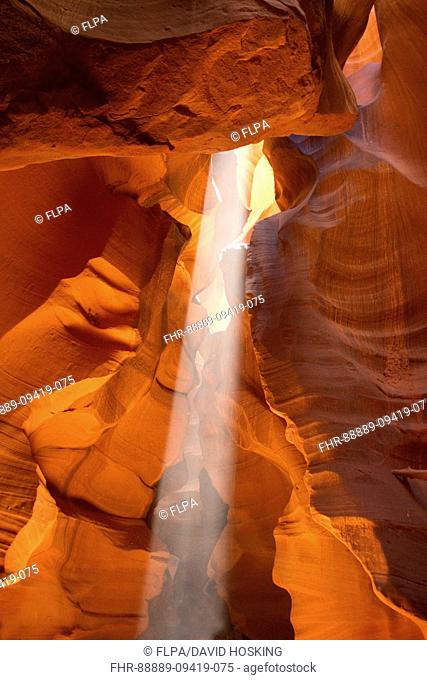 Light beam in Upper Antelope Canyon was formed by erosion of Navajo Sandstone, primarily due to flash flooding where during monsoon season