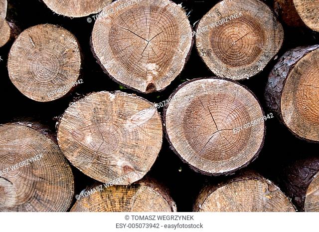 wooden logs 3
