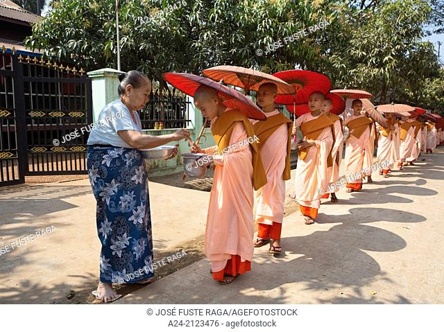 Nuns, parade, Kyauktan township near Yangon, Myanmar