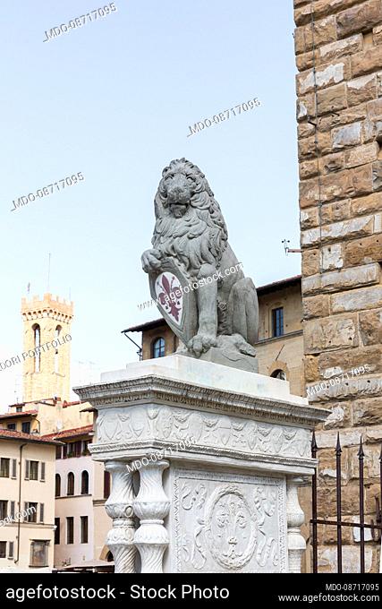 Copy of the Marzocco statue with the coat of arms of the city of Florence, by Donatello and placed in front of the Palazzo Vecchio in Piazza della Signoria