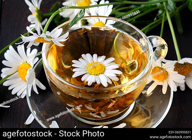 cup of herbal chamomile tea with fresh daisy flowers on wooden background. doctor treatment and prevention of immune concept