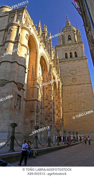 New and old cathedral. Salamanca. Spain
