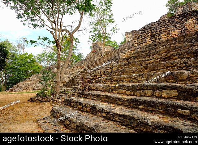 A tree grows from the center of the secondary level of the Pyramid of the Sun God, twin temples on either side, a central set of steps rising to the final level...