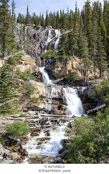 View of waterfall in forest, Tangle Creek Falls, Jasper National Park, Canada