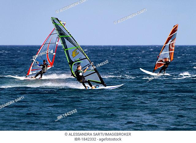 Windsurfers, El Medano, Tenerife, Canary Islands, Spain, Europe