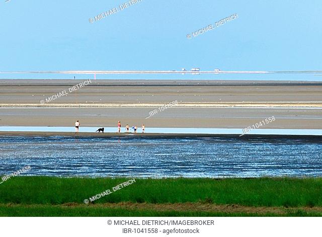 Family walking across the mudflats on the North Sea Coast, Schleswig-Holstein, Germany, Europe