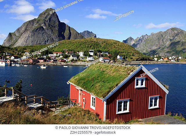 House with traditional grass roof in Reine, Lofoten Islands, Nordland, Norway, Scandinavia, Europe