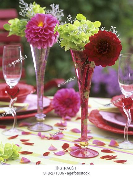 Red and pink dahlias in champagne flutes