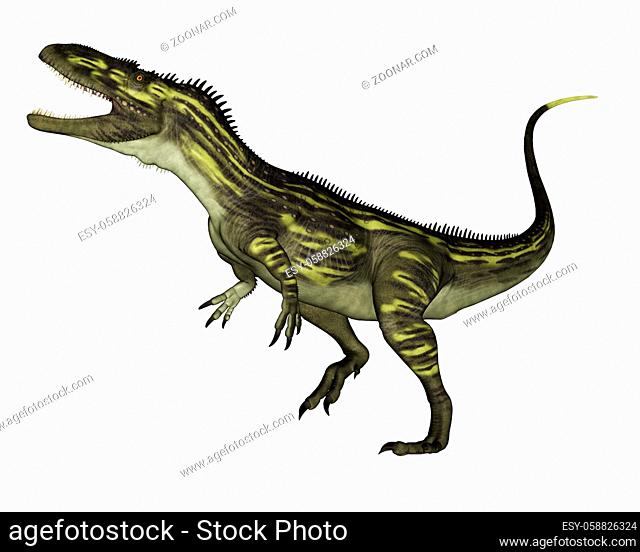 Torvosaurus dinosaur roaring isolated in white background - 3D render