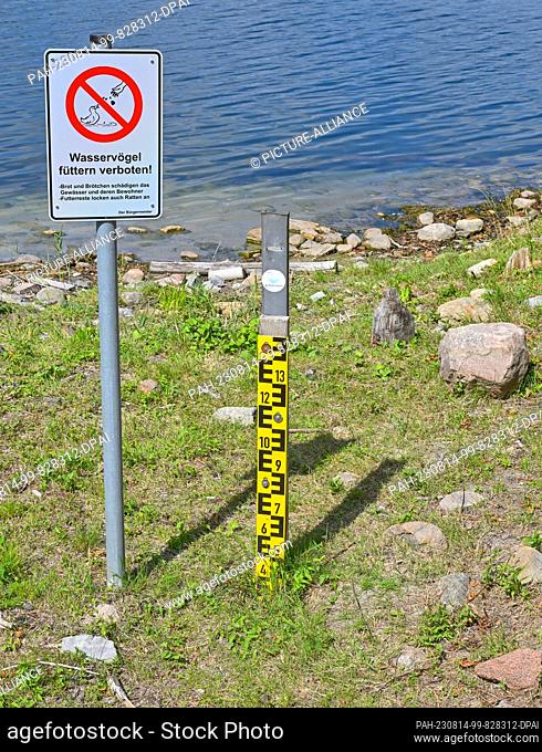 PRODUCTION - 11 August 2023, Brandenburg, Strausberg: A water level gauge at Lake Straus has long been dry. The lake has lost half of its water for about ten...