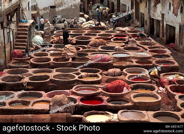 Leather tanning and dyeing in the old town of Fez Morocco
