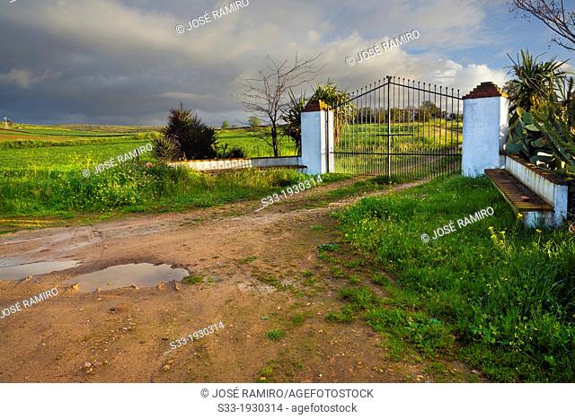 Land lot in Don Alvaro. Badajoz. Extremadura. Spain
