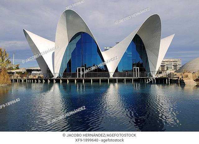L'Oceanogràfic, City of Arts and Sciences, Valencia, Spain