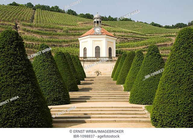 Garden with pavillion Belvedere and vineyards, Wackerbarth Castle, winery, in Radebeul near Dresden, Saxony, Germany